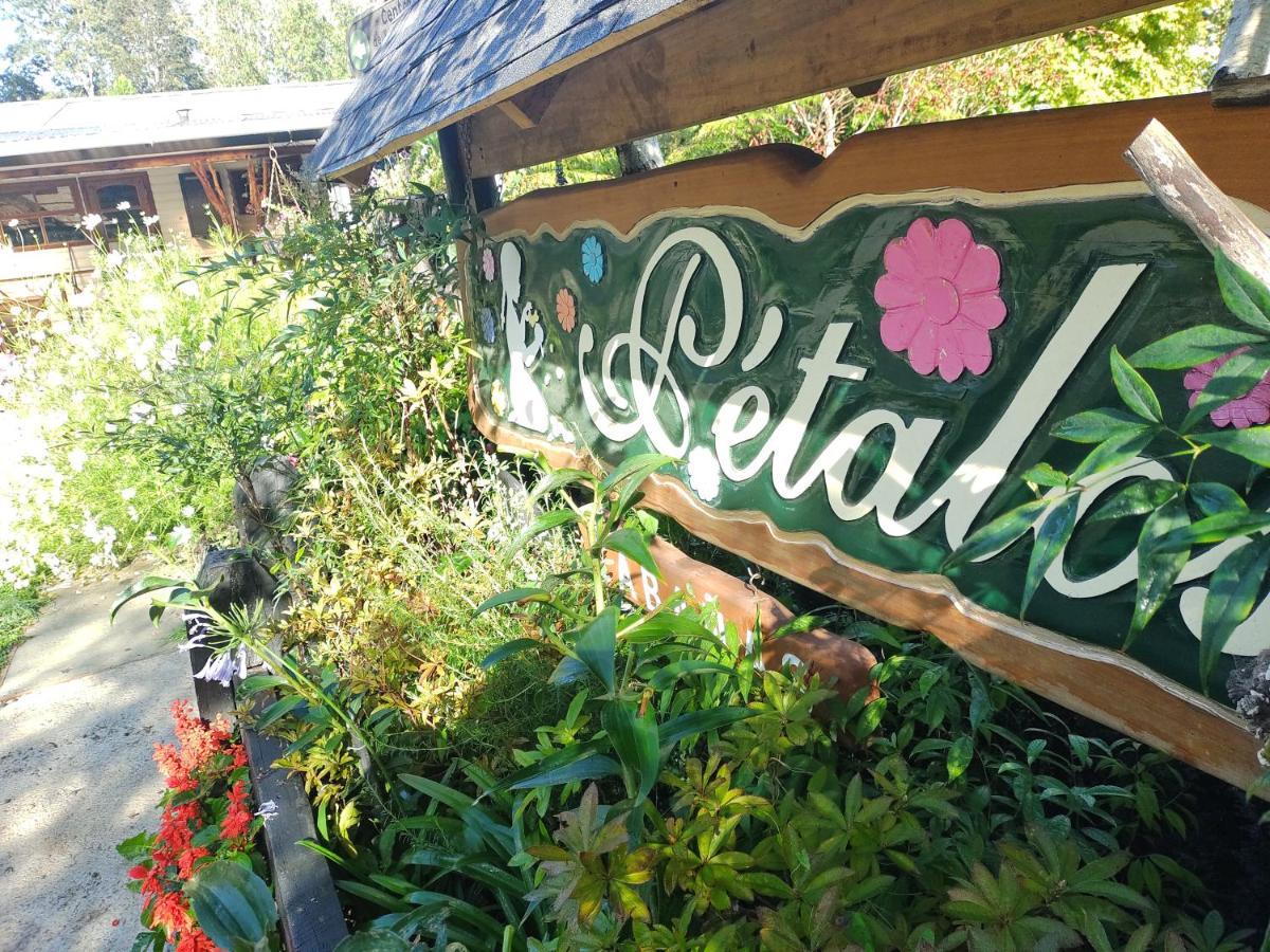 Complejo Cabanas Petalos Вильяррика Экстерьер фото