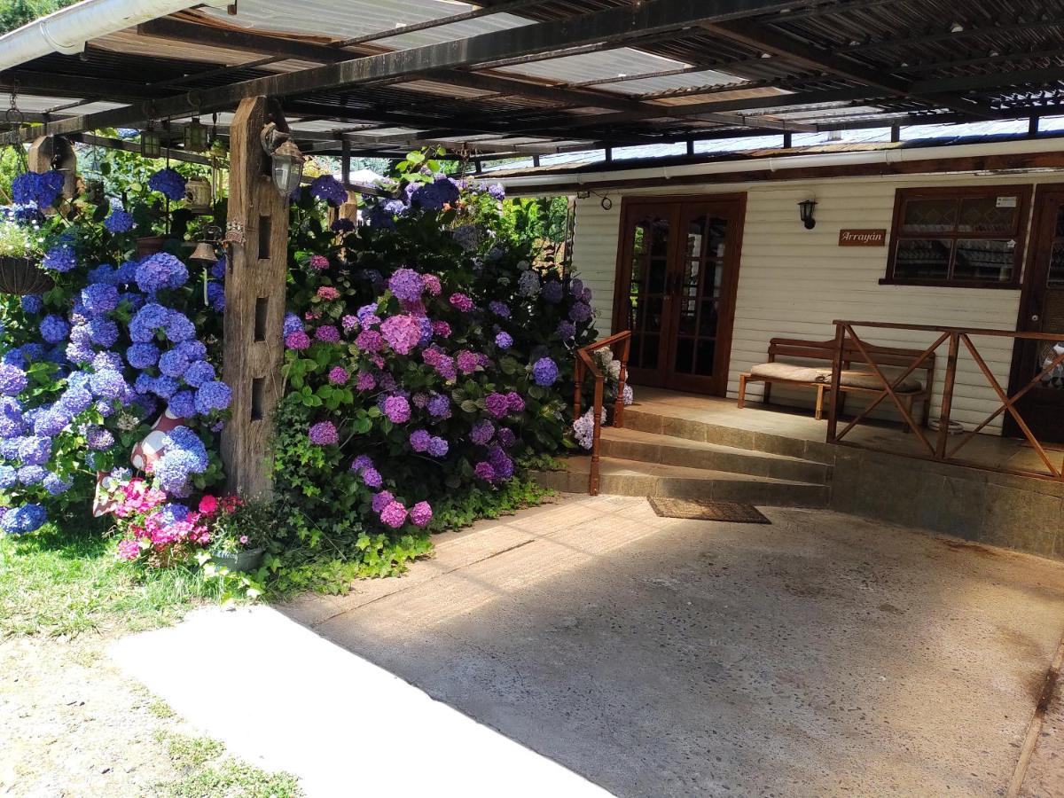 Complejo Cabanas Petalos Вильяррика Экстерьер фото