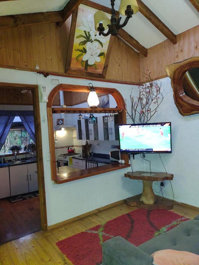 Complejo Cabanas Petalos Вильяррика Экстерьер фото