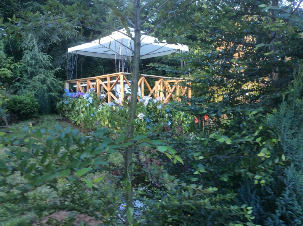 Complejo Cabanas Petalos Вильяррика Экстерьер фото