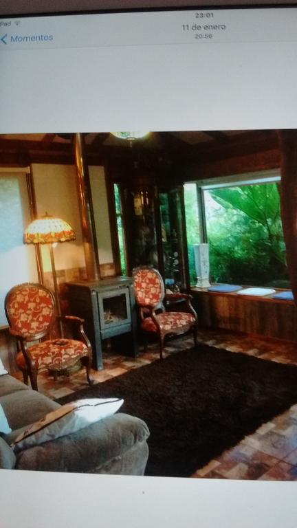 Complejo Cabanas Petalos Вильяррика Экстерьер фото