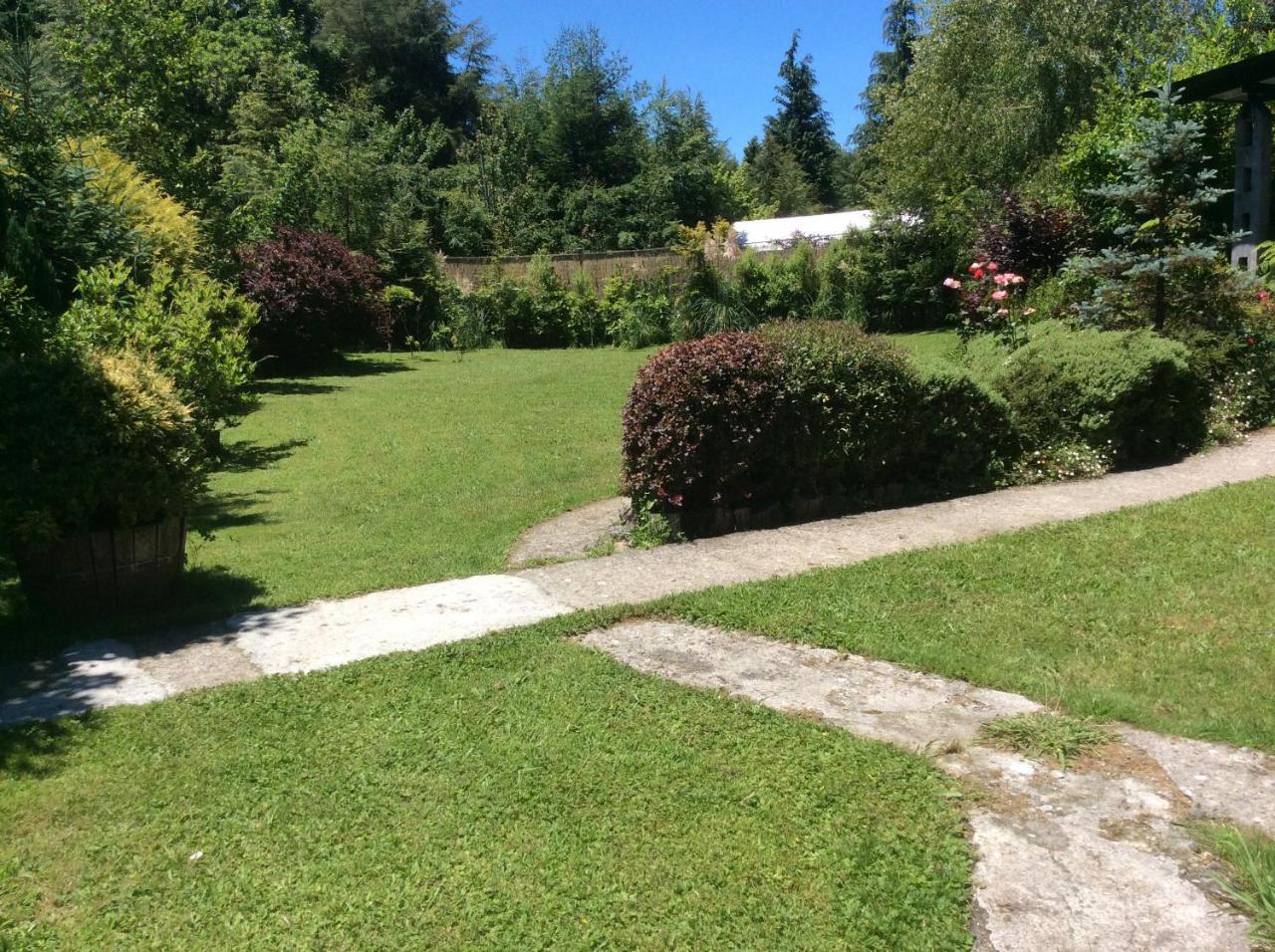 Complejo Cabanas Petalos Вильяррика Экстерьер фото