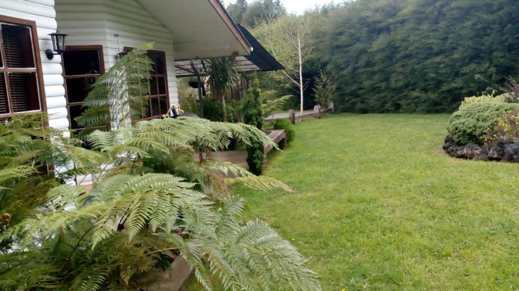 Complejo Cabanas Petalos Вильяррика Экстерьер фото